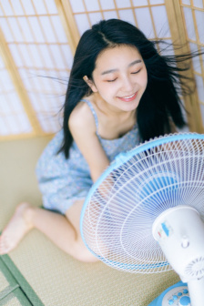 清网行动电视剧全集